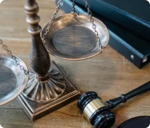 Barnelovsssaker - Familierett og domstolene i Norge