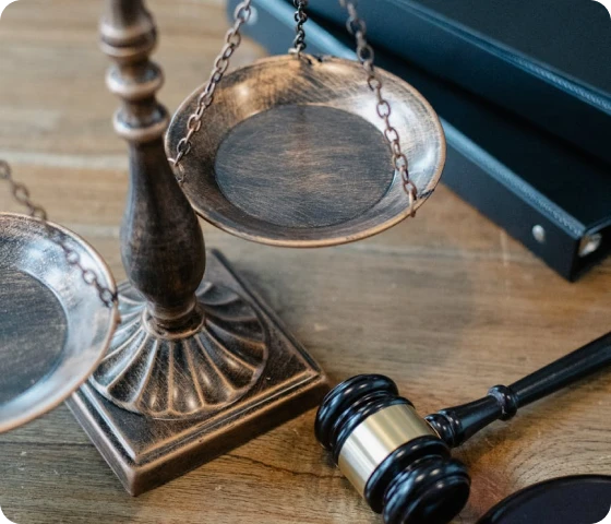 Barnelovsssaker - Familierett og domstolene i Norge